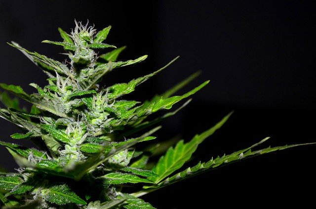 Indica Ciò Che Non C è Più