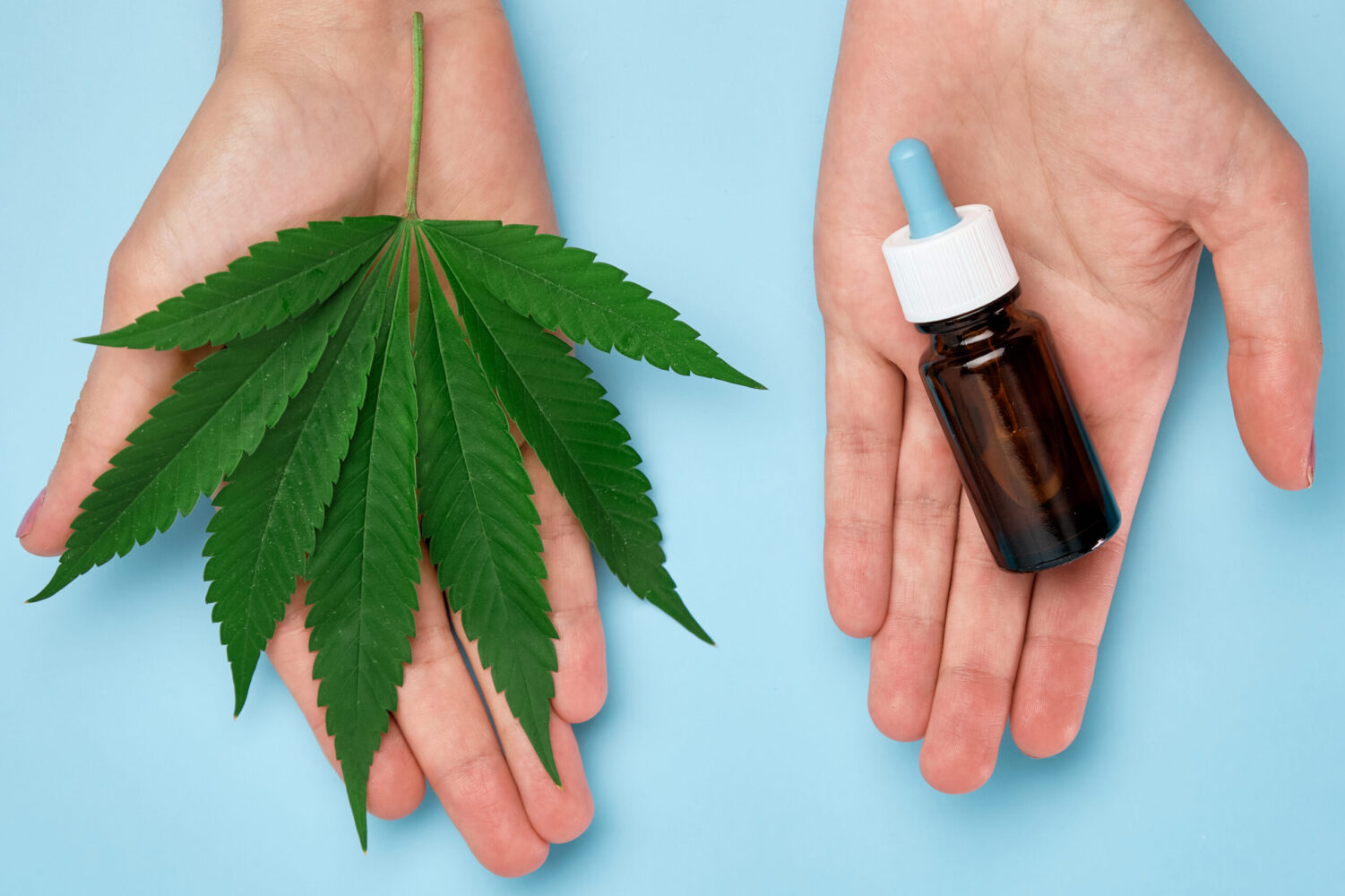 L’olio CDB | L’olio di Cannabis e i benefici per la salute