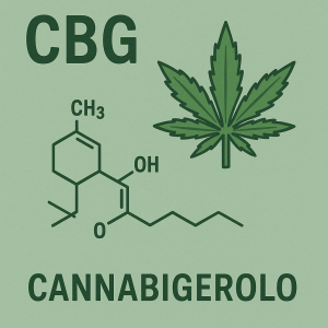 Cosa sono e a che cosa servono i cannabinoidi e il cannabigerolo